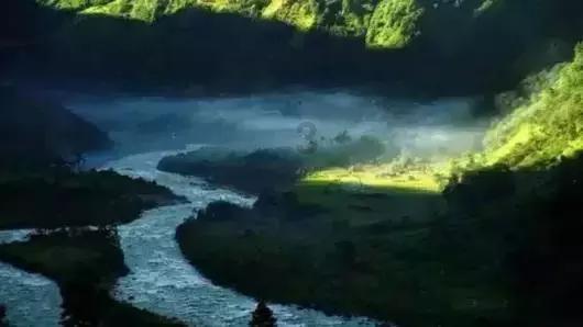 用什么对付楼上的噪音-问题是种子,答案是成长的树