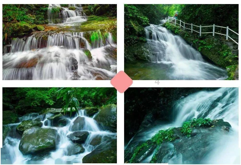 夏天怎么给花浇水?-你的全能有问必答平台
