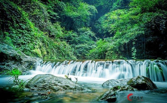 全民剧本大师内置菜单